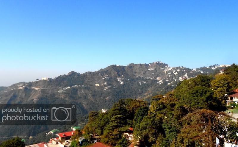 DSCN7037-1.jpg