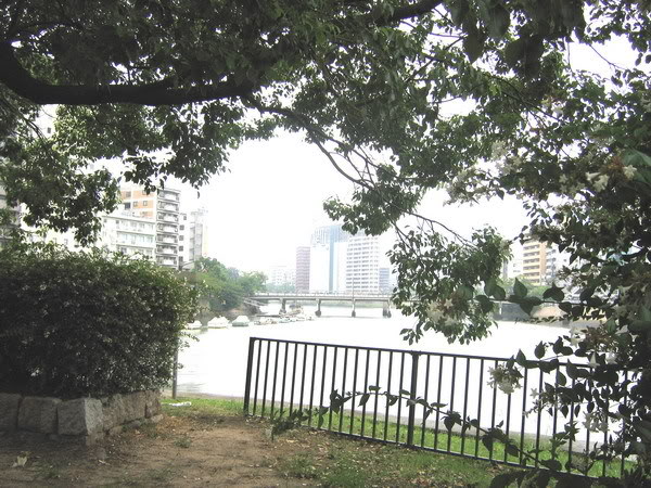 IMG_0820a_resize.jpg