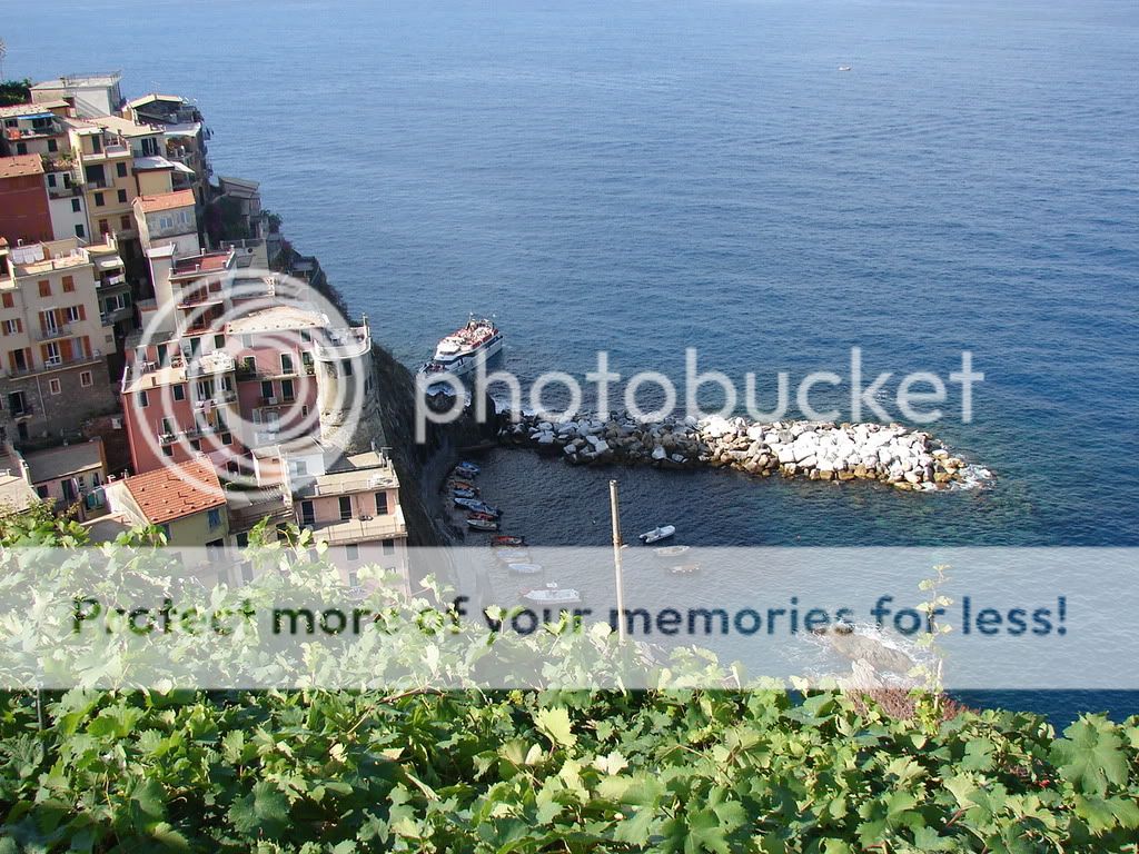 DSC09285.jpg