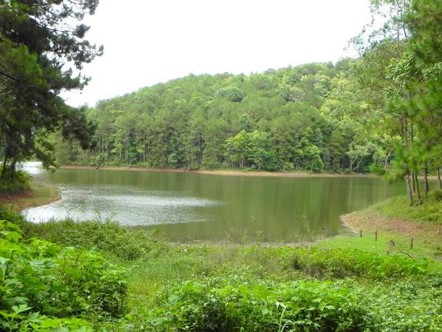 DSCN1469.jpg