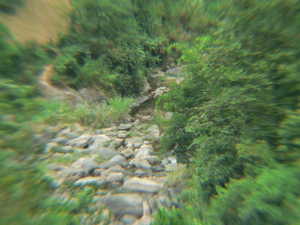 P1100008.jpg