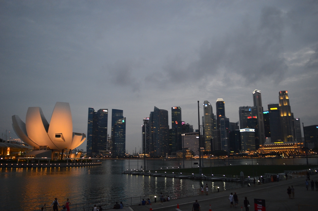 dsc0132_588_369633.jpg
