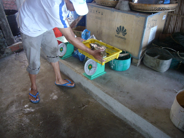 P1020216.JPG