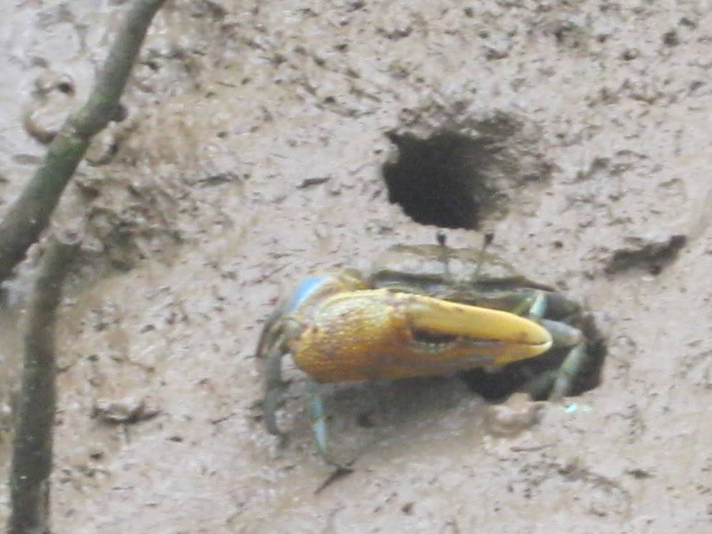 IMG_8504.jpg