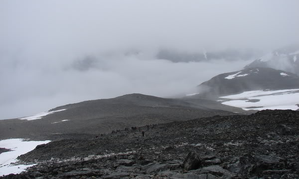 DSC09945.jpg