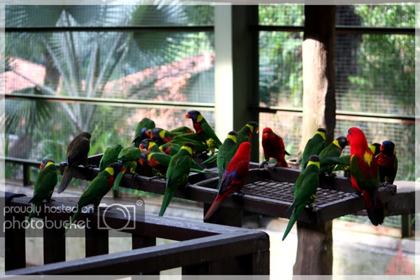 birdpark42.jpg