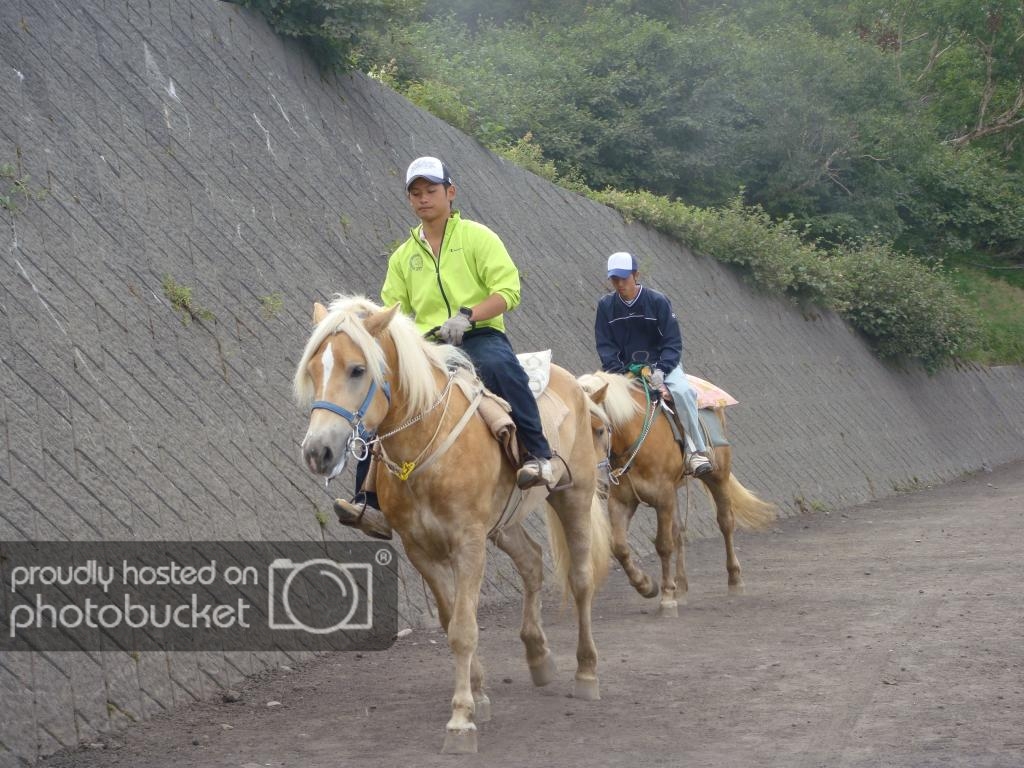 DSC09327_zpslrdzbekm.jpg