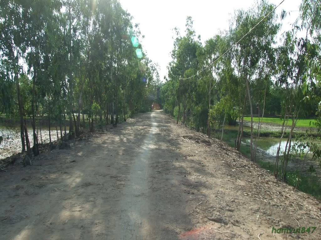 hoaminh-19.jpg