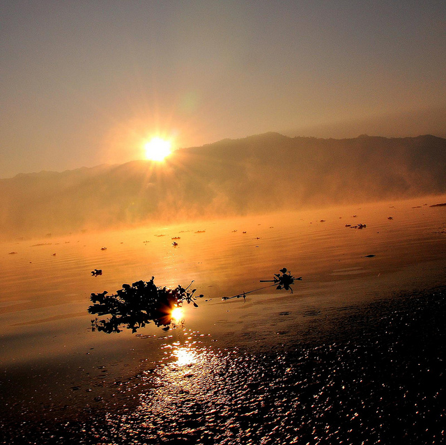 5585430553_6ff933d3f0_z.jpg