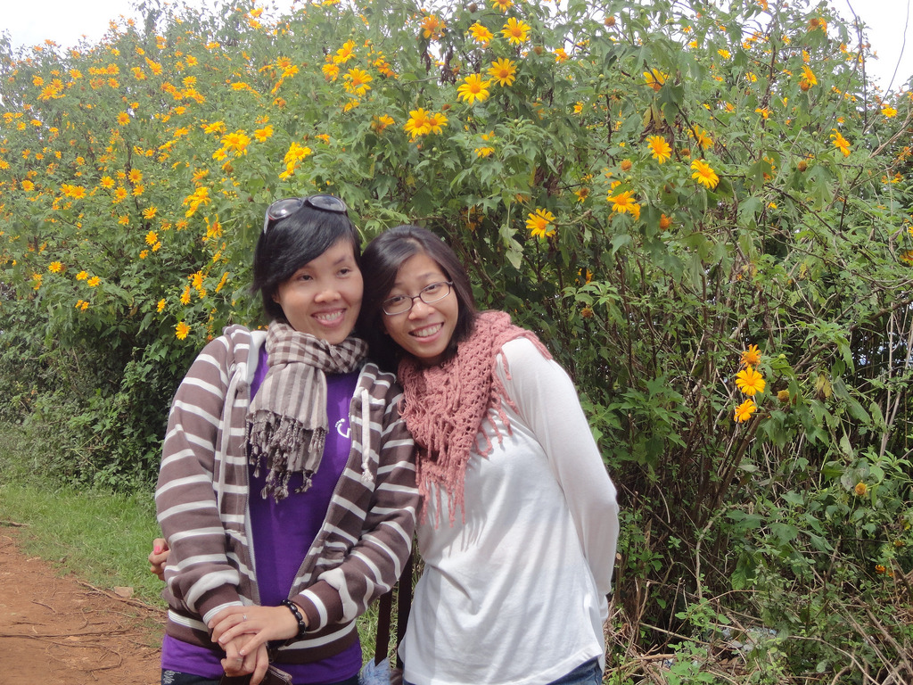 8164287876_d15db26a68_b.jpg