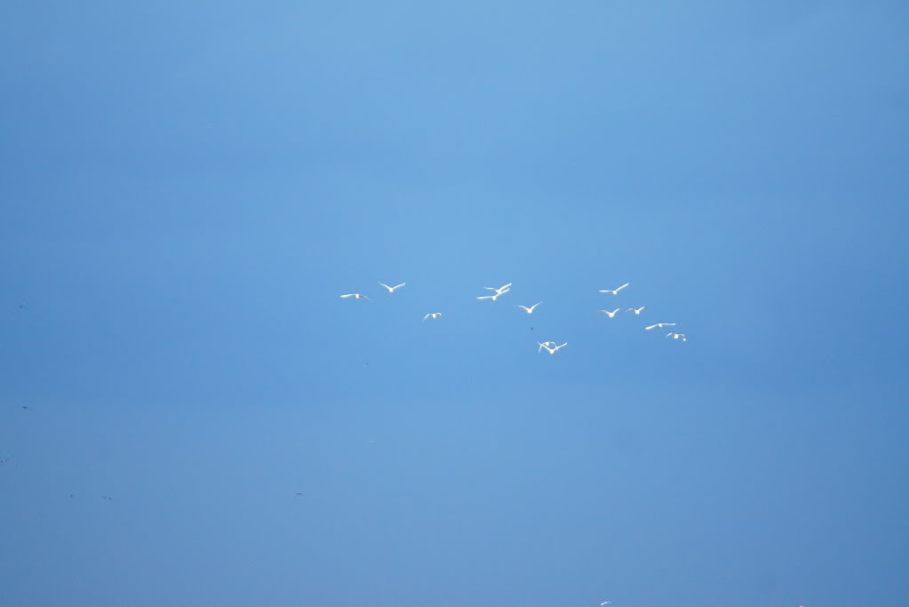 DSC05159.jpg