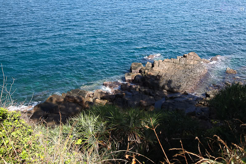IMG_7860.jpg