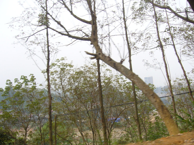 P1080091.JPG