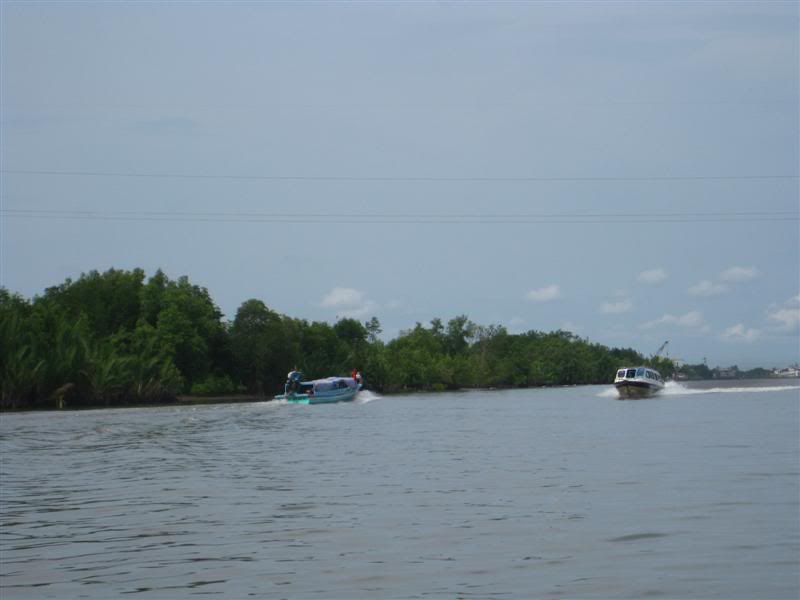 IMG_6492Medium.jpg