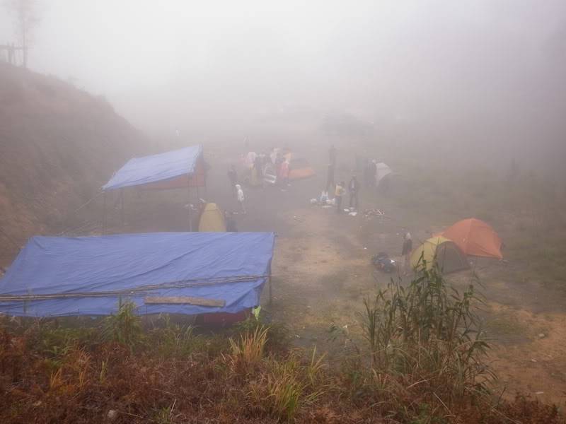P1000716.jpg