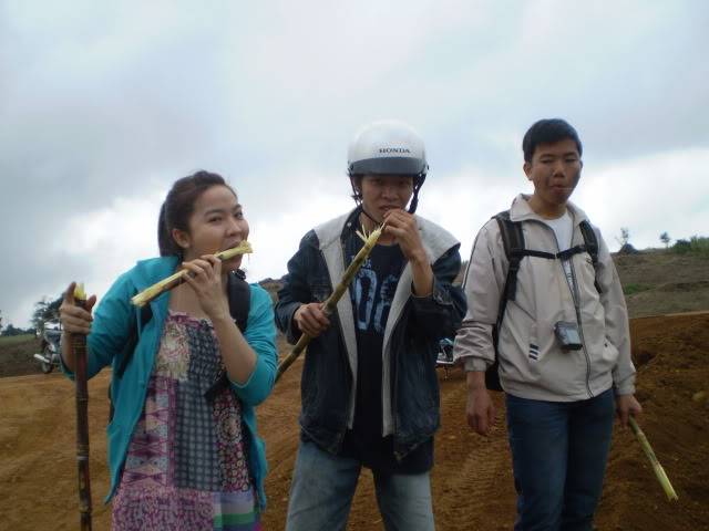 P1010138.jpg