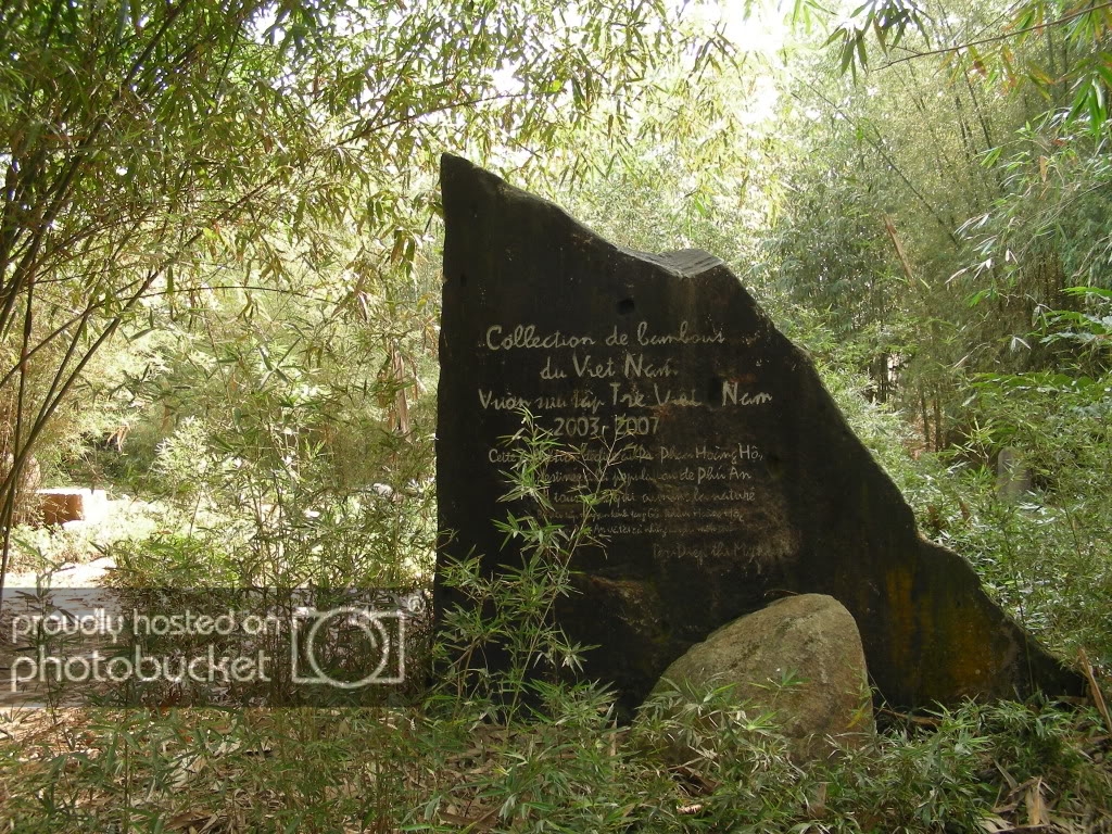 DSCN3258.jpg