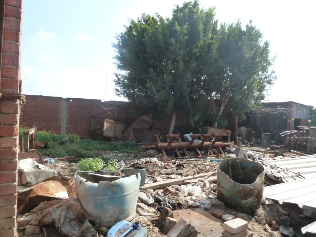 L1020114.jpg