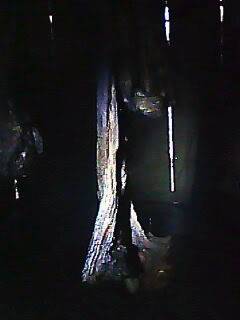 IMG0068A.jpg