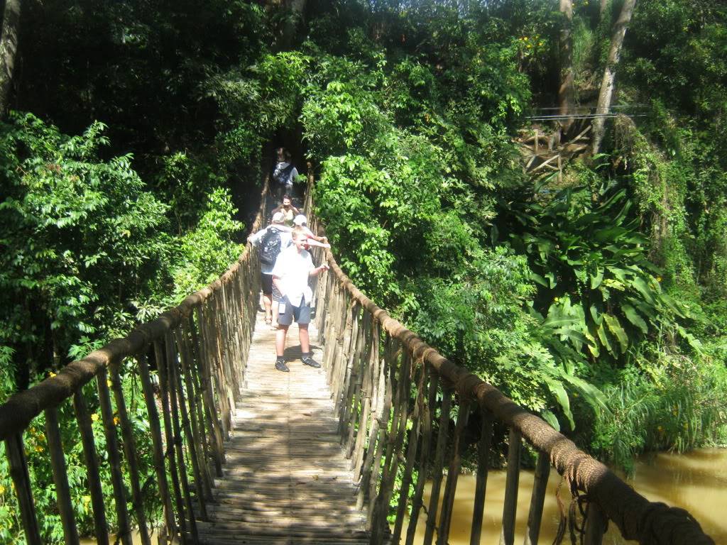 IMG_6030.jpg