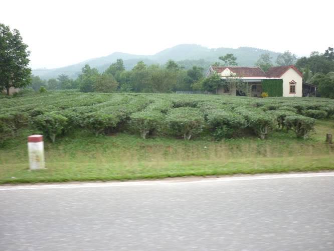 P1400138.jpg