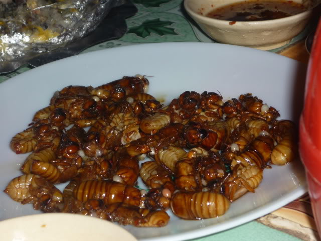 P1000760.jpg