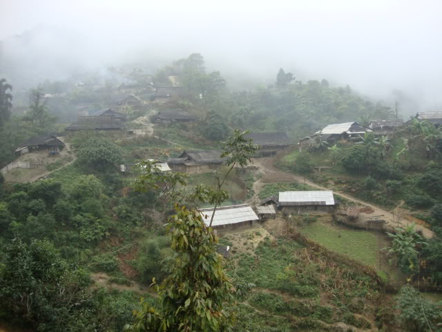 DSC06499.jpg