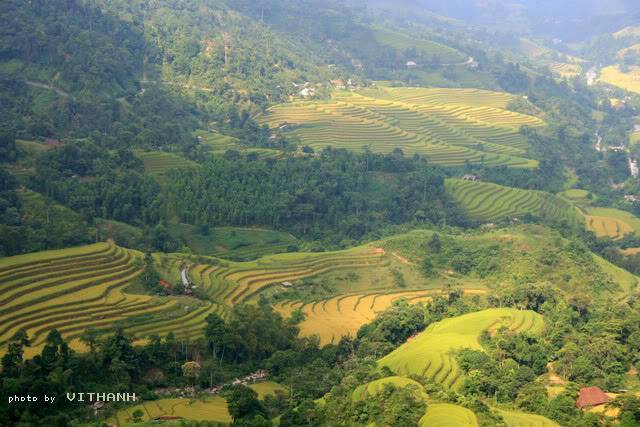 Hgiang15.jpg