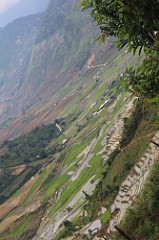 35166950871_dde5d906f2_m.jpg
