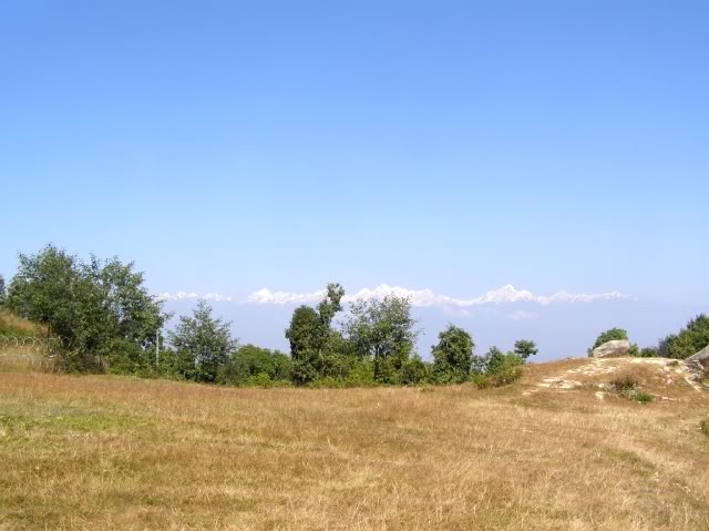 PB060850.jpg
