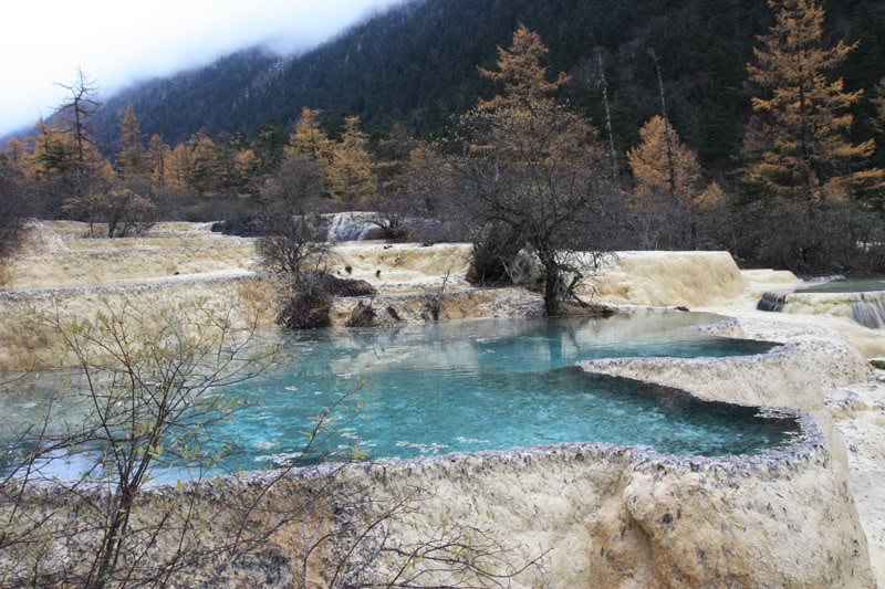 hoanglong141.jpg