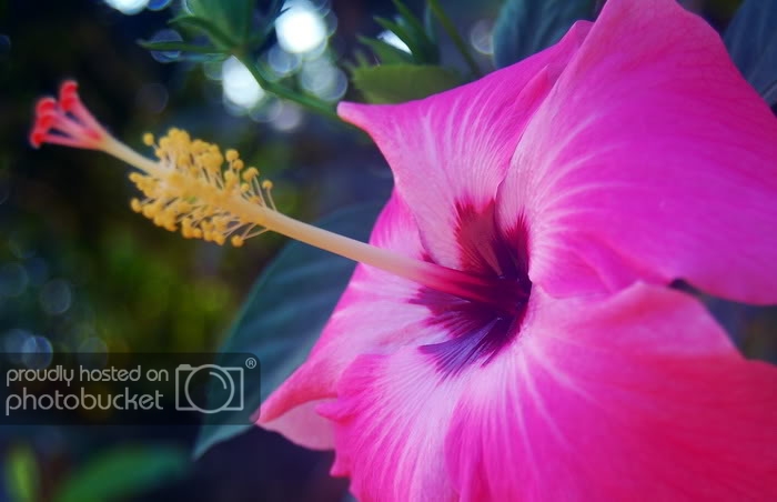 DSC_6902_resize.jpg