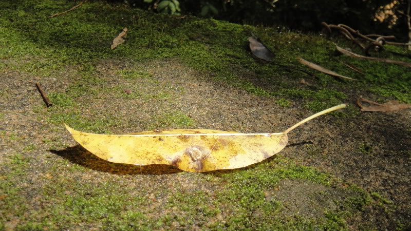 DSC01064.jpg