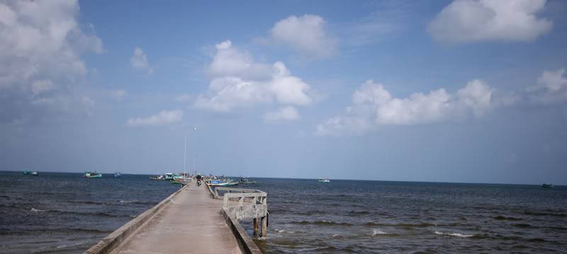 IMG_0595.jpg