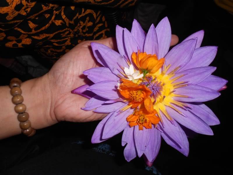 DSCN7459.jpg