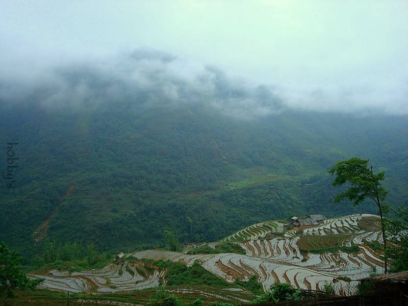 DSC07832-1.jpg