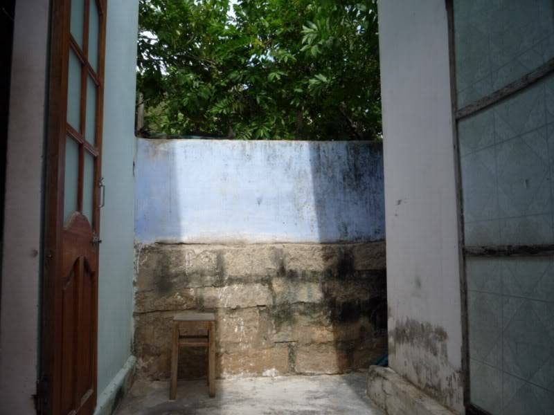P1010568800x600.jpg