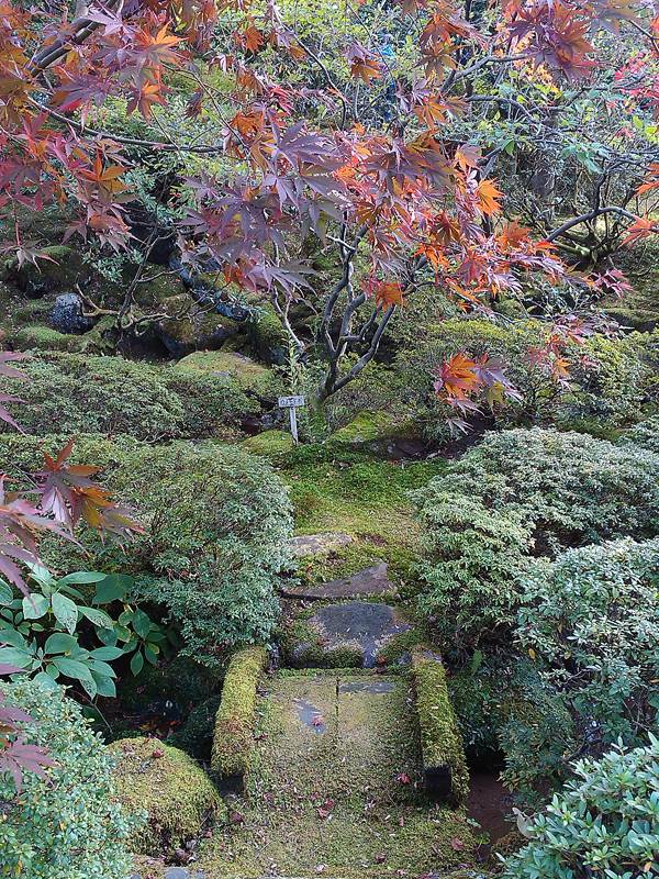 nikko312.jpg
