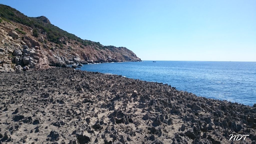 DSC_4005.jpg