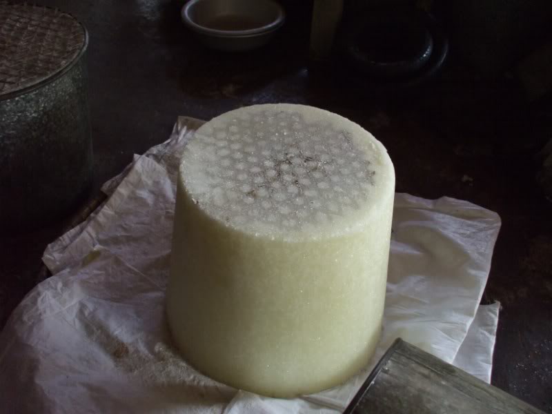 DSCF7291.jpg