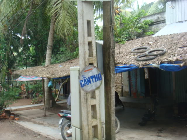 318.jpg