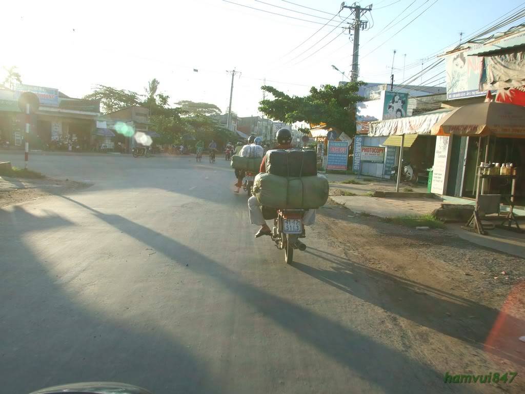 hoaminh-28.jpg