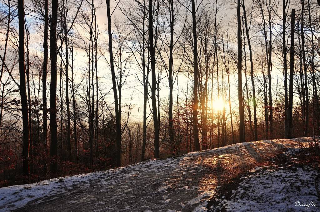 DSC_0199_new.jpg