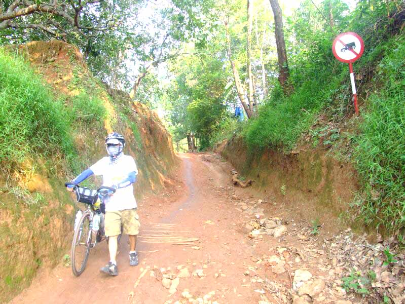 DSCF2772.jpg