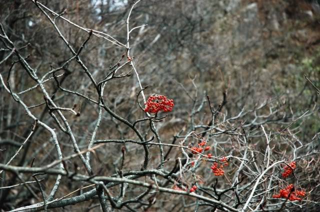 DSC_0961.jpg