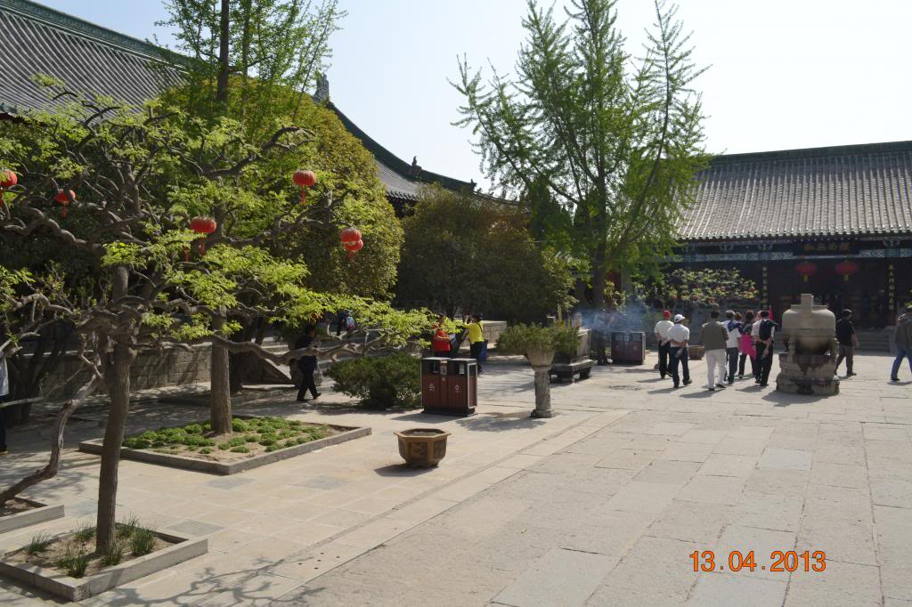 DSC_0772_zps4f5dc007.jpg