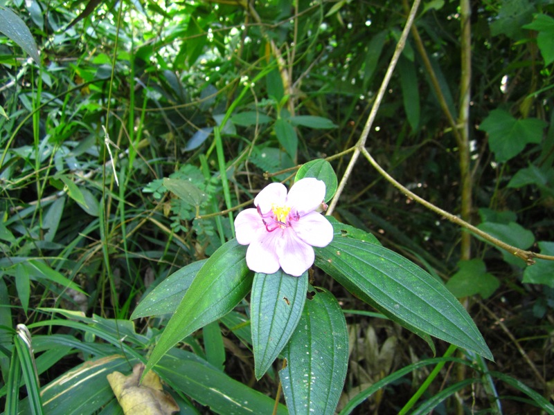 1214_zps05777405.jpg