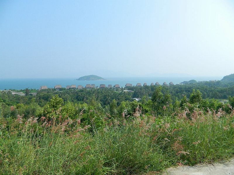 DSCN2518.jpg