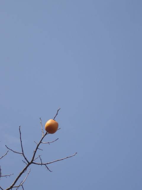 DSC02235.jpg
