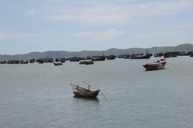 DSC_4195.jpg